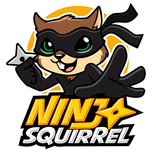 Ninja Squirrel Gaming